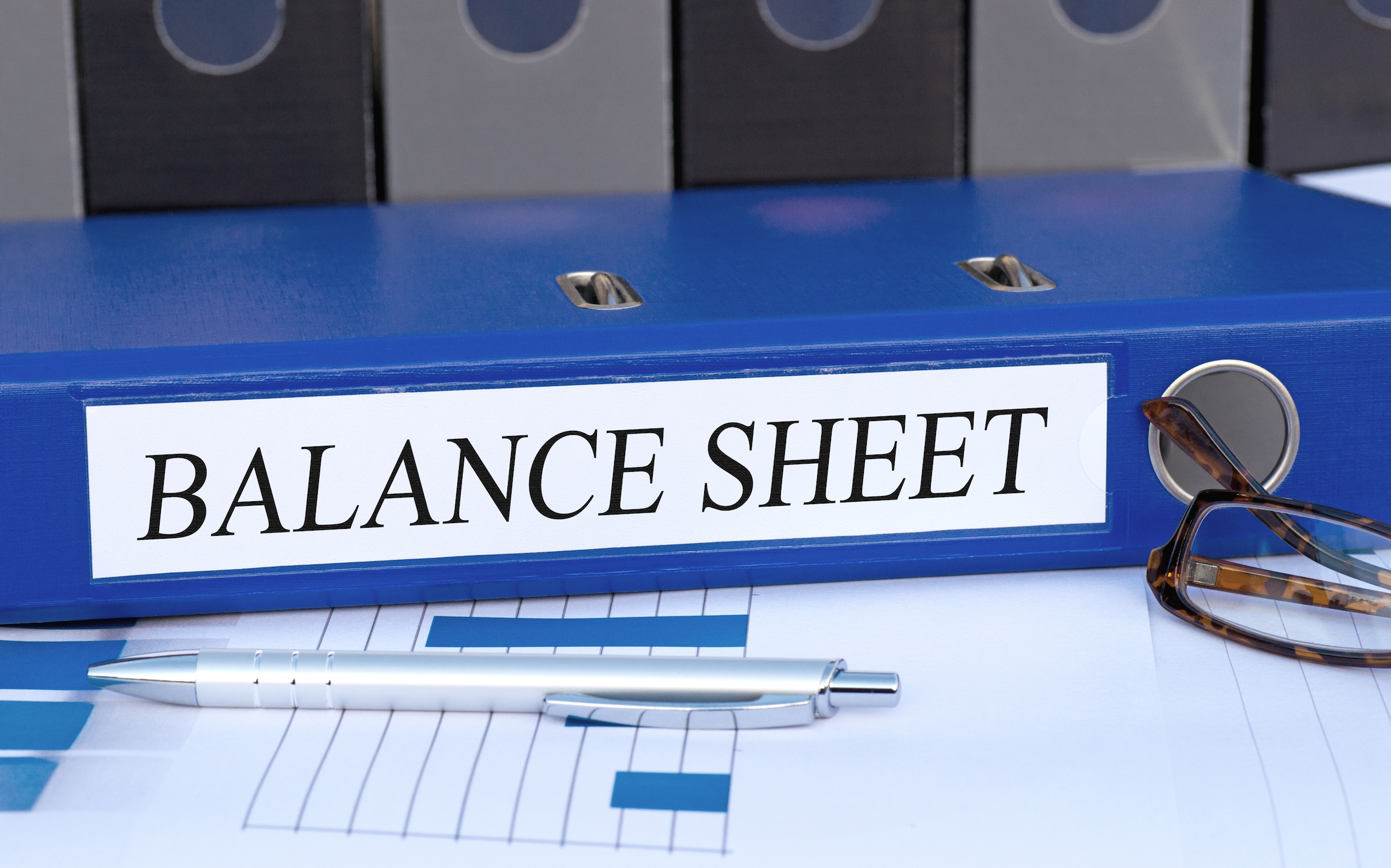 balance sheet binder